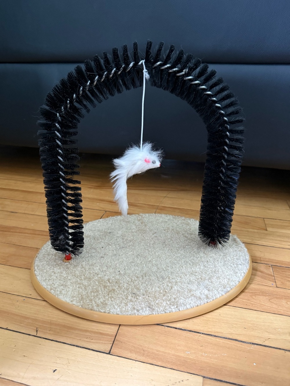 CAT | scratch pad toy